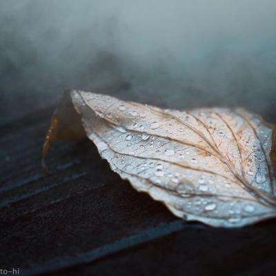 mg娱乐电子游戏网站截图